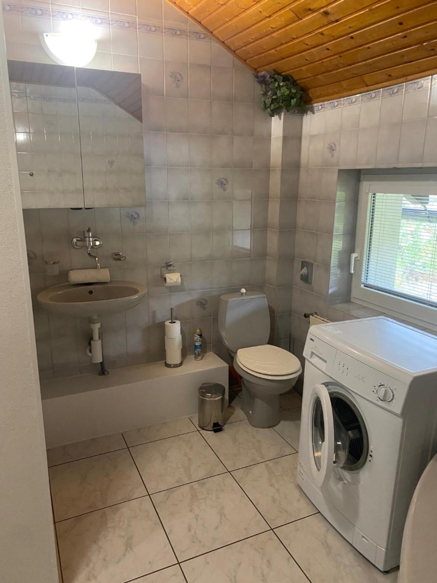 Apartmany Nad Rybnikem Železná Ruda エクステリア 写真